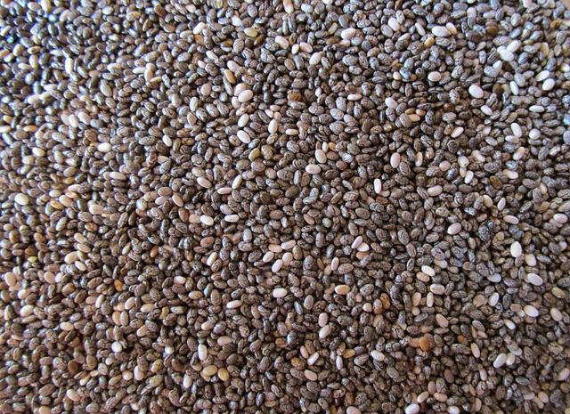 Chia seeds in a glass jar - high-fiber superfood for fat loss