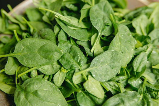 Fresh spinach leaves - nutrient-rich superfood for weight loss