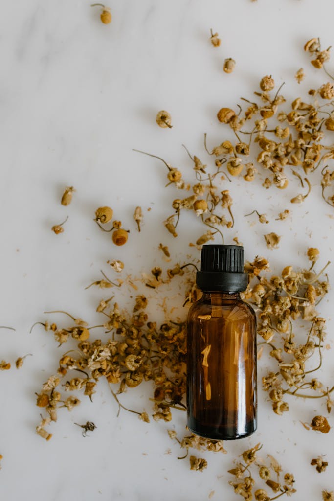 Flat lay of chamomile essential oil bottle surrounded by dried flowers on white backdrop.