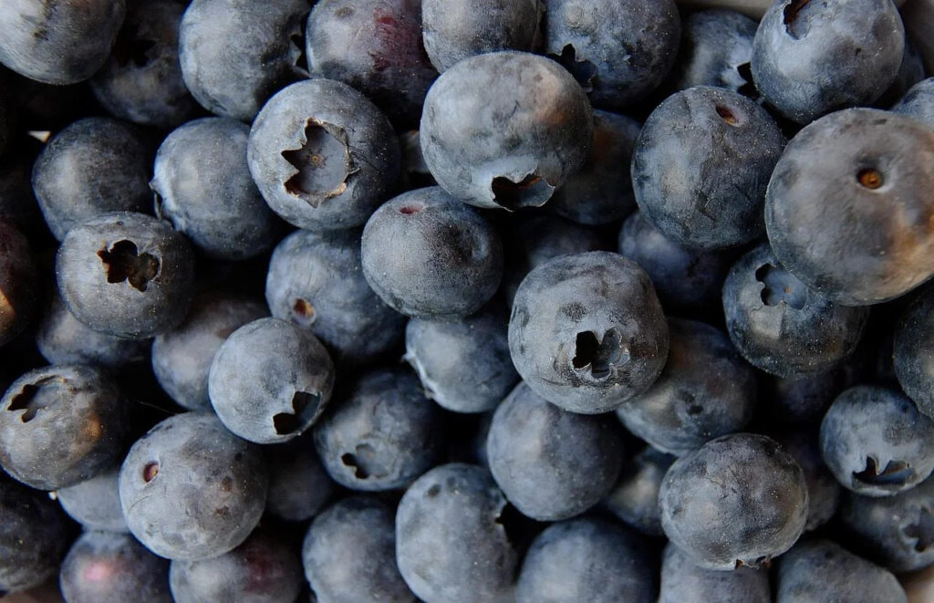 Blueberries in a bowl - antioxidant-rich weight-loss food