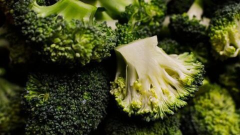 Broccoli on a plate - fiber-rich superfood for weight loss