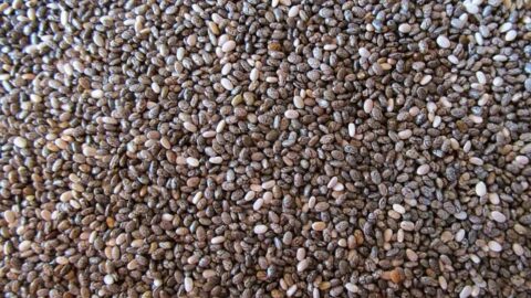 Chia seeds in a glass jar - high-fiber superfood for fat loss