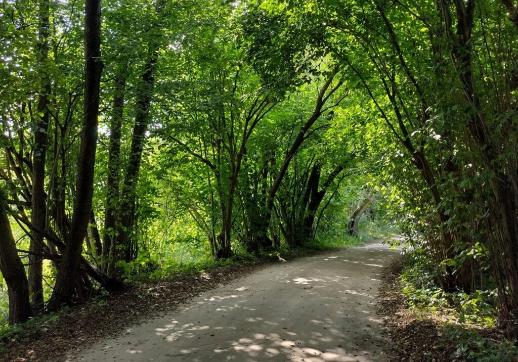 health benefits of walking: Healthy Lifestyle Guide