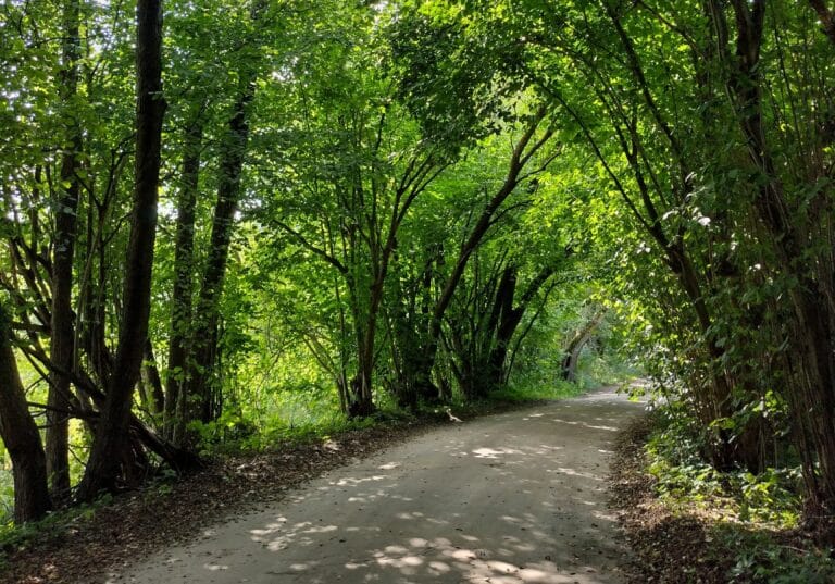 health benefits of walking: Healthy Lifestyle Guide