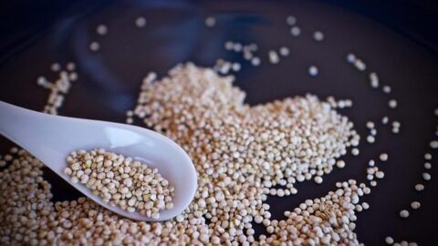 Cooked quinoa in a bowl - high-protein grain for weight control