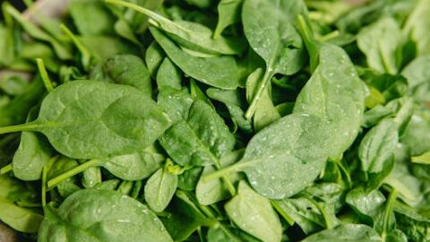 Spinach Best for Appetit Control